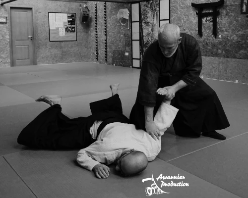 Deux hommes montrant une technique d'aikijujutsu. L'un est a terre tandis que l'autre execute une cle de bras.